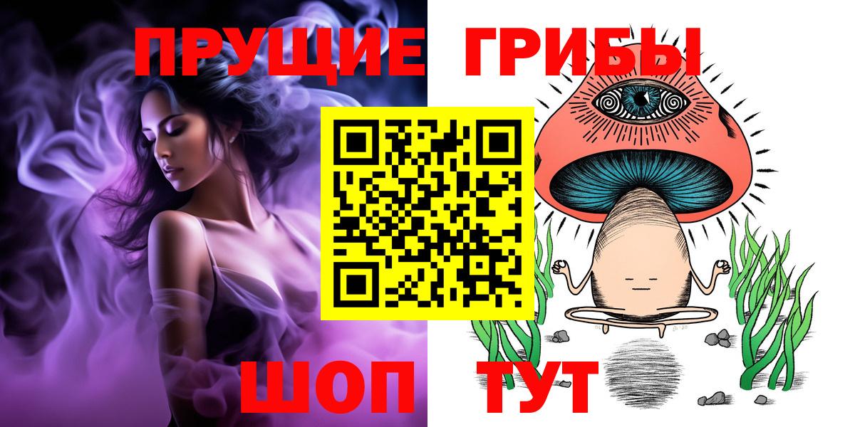 Псилоцибиновые грибы Cubensis  купить наркоту  Шарыпово  Вход с VPN 